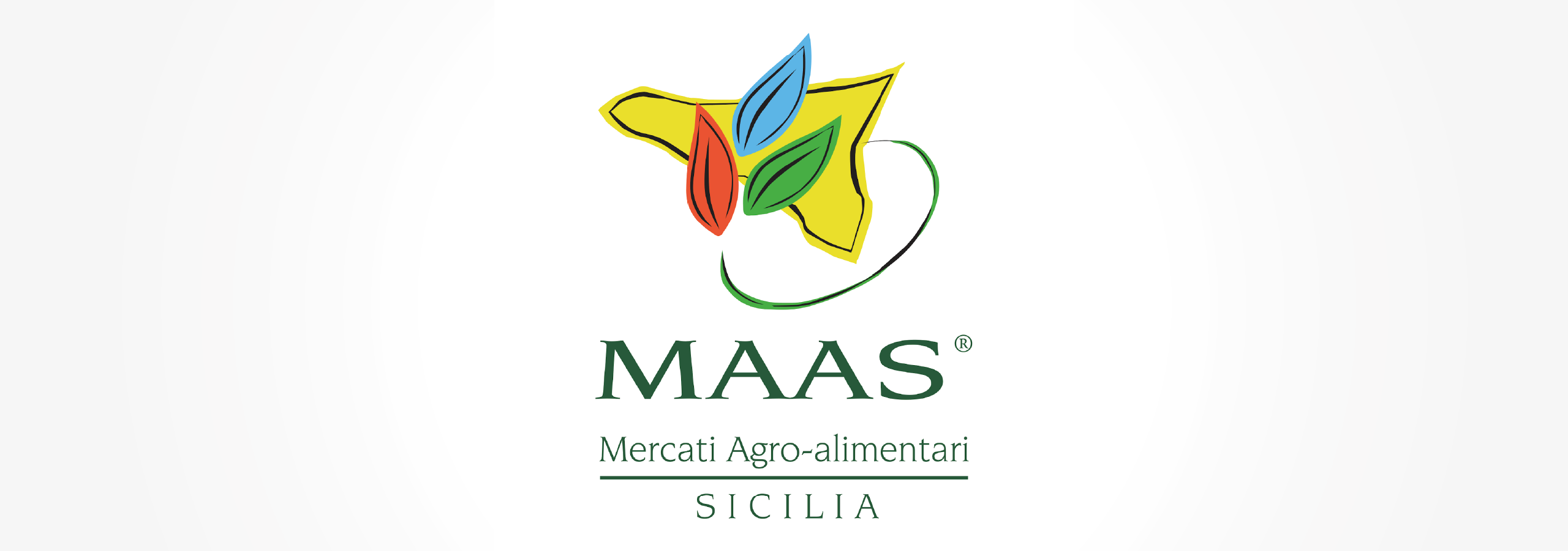 Maas_BannerFNSS_SezionePatrocini2560x900_MAAS