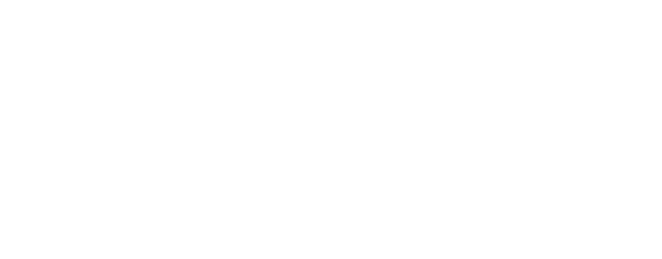 PianetaConsulting_logoSitoFNSS